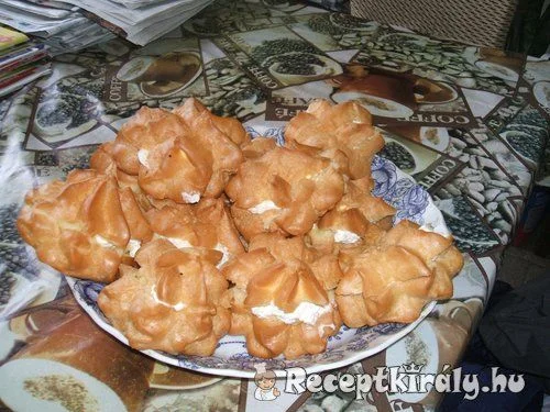 Képviselőfánk V