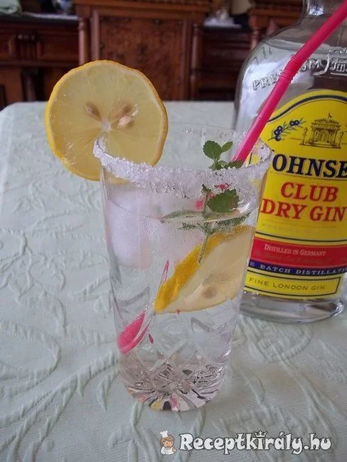 Lemon Gin Fizz strong recept