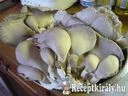 Laskagomba paprikás – 4. kép
