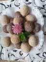 Töltött diócskák – 2. kép