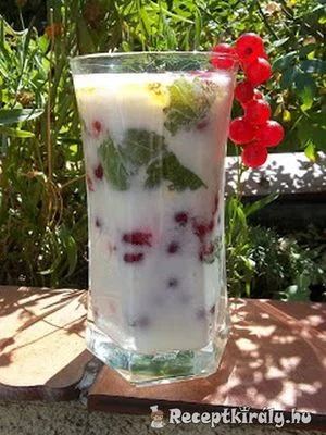 Ribizlis mentás joghurt – 3. kép