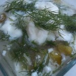 Vodkás kapros joghurtos uborkaleves lehűtve 1